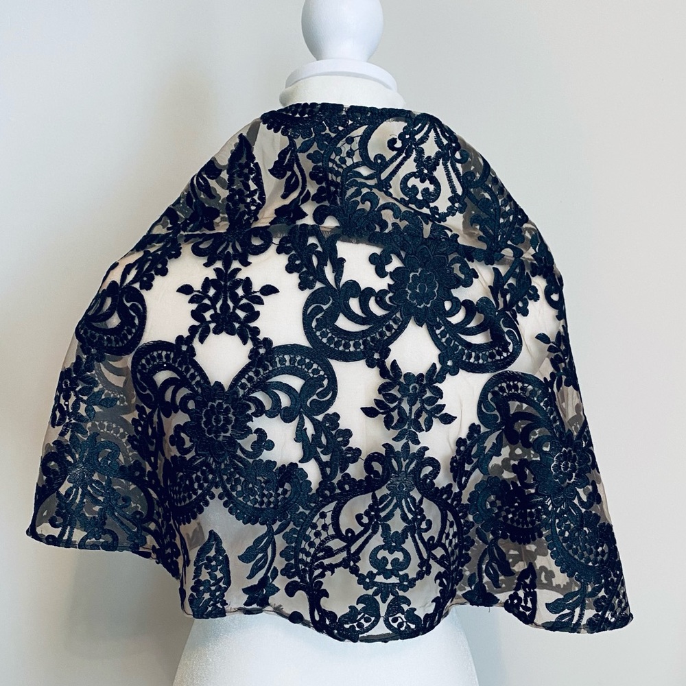 Beautiful Laced Shawl - Picture 2 of 8